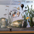 4-6-8" TankMatez Hydraulic Silent Release Bubble Fish Trap